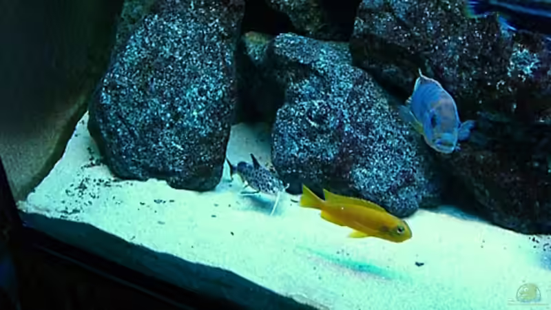 Update 26.12.2007 von Christian Dornieden (3)