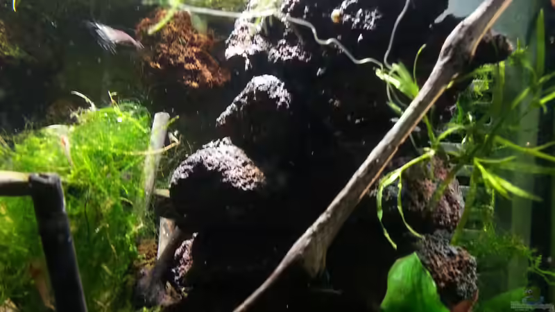 Update 28.02.16 von Zomic (21)