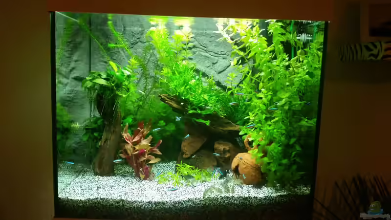 Update 30.1.16 von Angie777 (6)