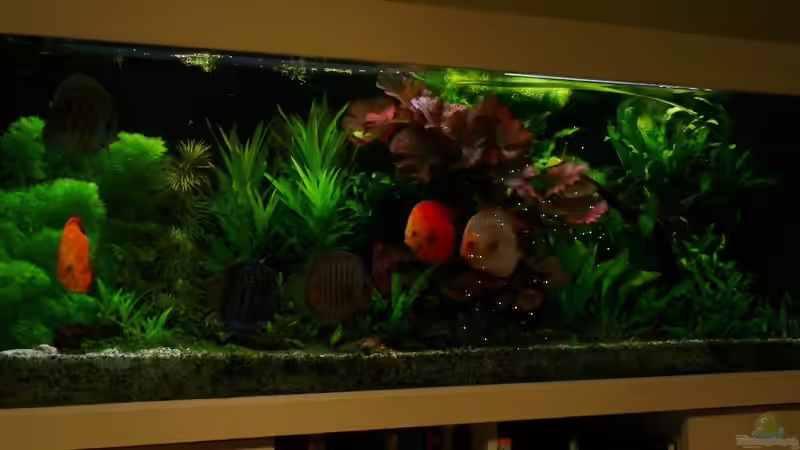 update 30.12.13 von Der Nicky (10)