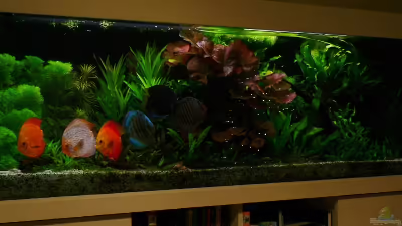 Update 30.12.13 von Der Nicky (11)