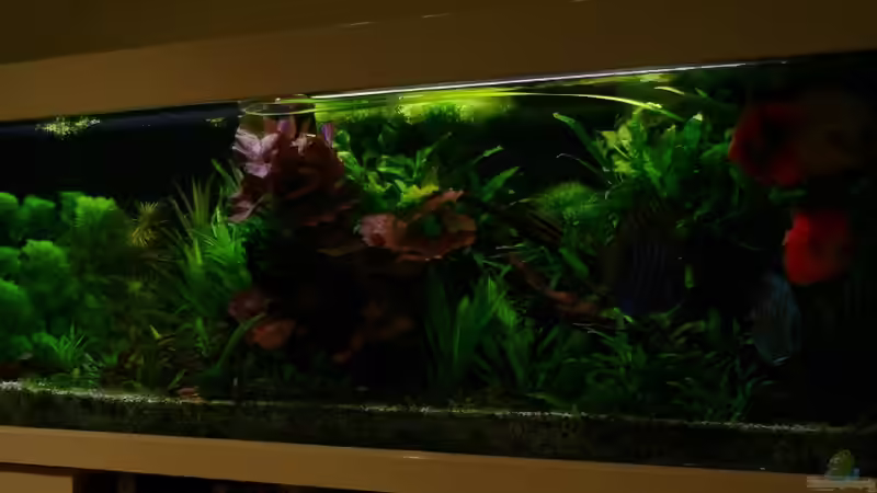 Update 30.12.13 von Der Nicky (16)