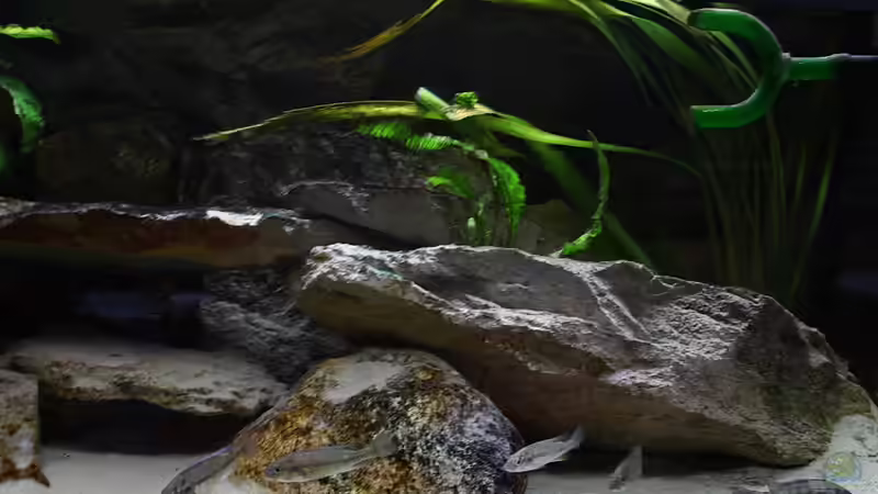 Update 31.03.2010 von Tobias Seiffert (16)