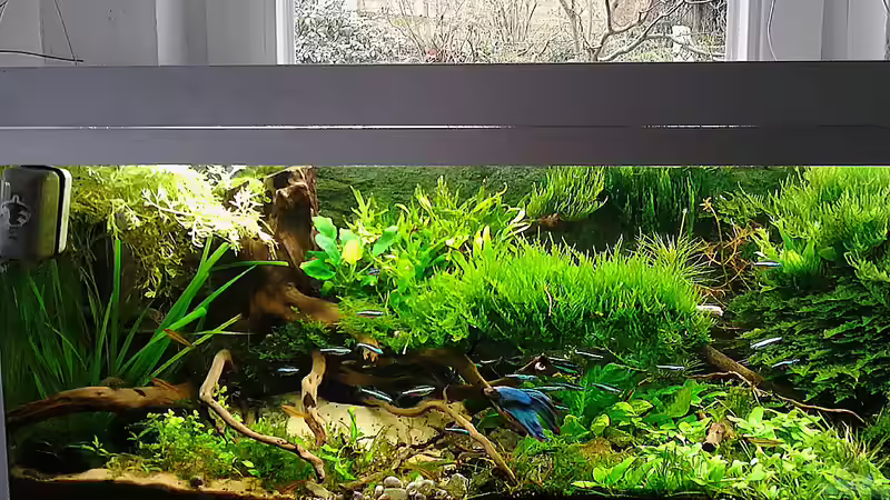 Update 31.05.2015 von Grünhexe (94)