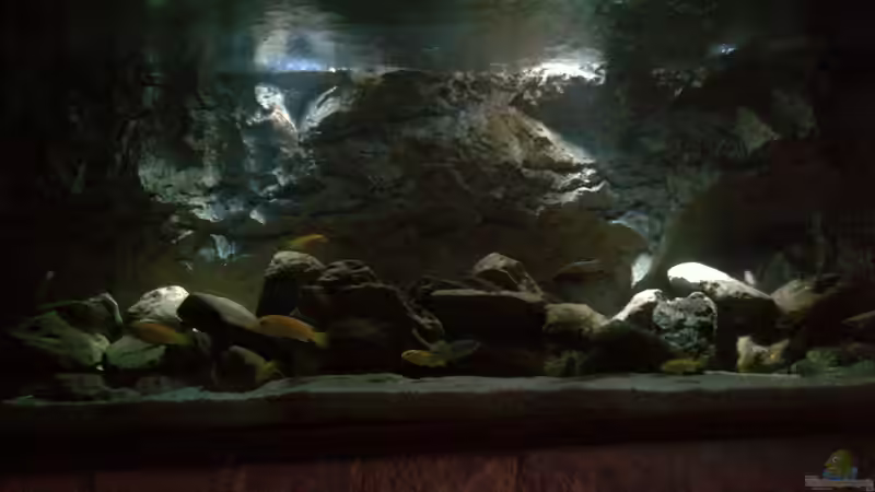 Update 4.03.2013 mit neuer LED-Beleuchung von bergstrasse (6)