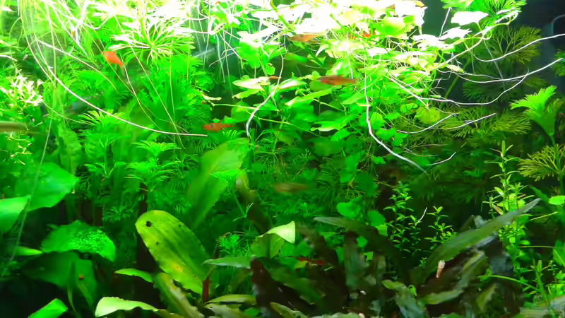 update 4.10.14 von cafesoleil (10)