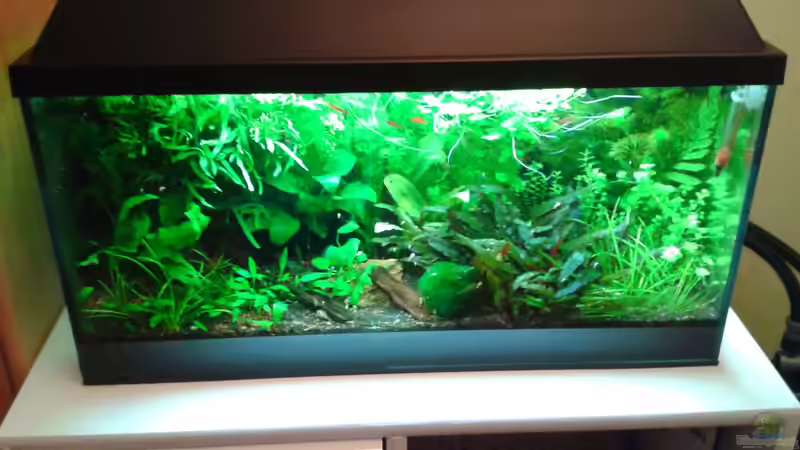 update 4.10.14 von cafesoleil (8)