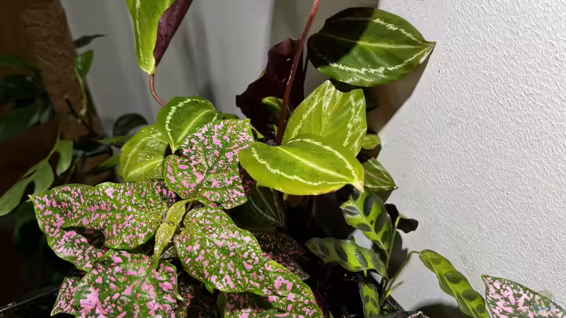 Update am 15.04.23 von CzudemP (22)