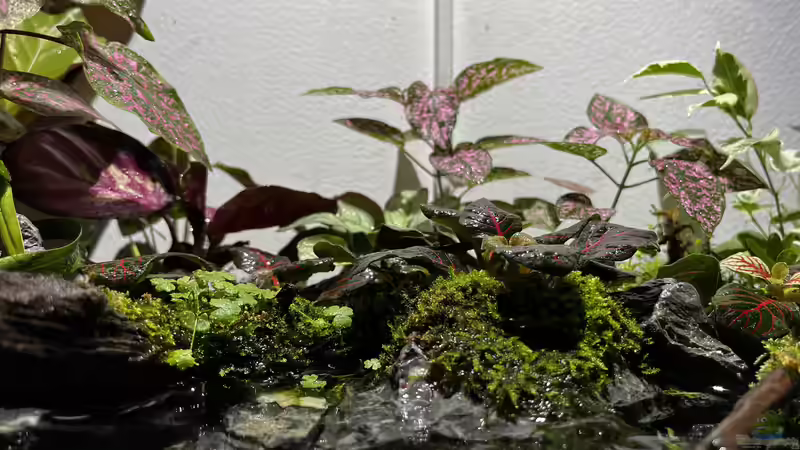 Update am 15.04.23 von CzudemP (25)