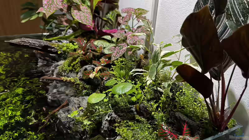 Update am 15.04.23 von CzudemP (28)