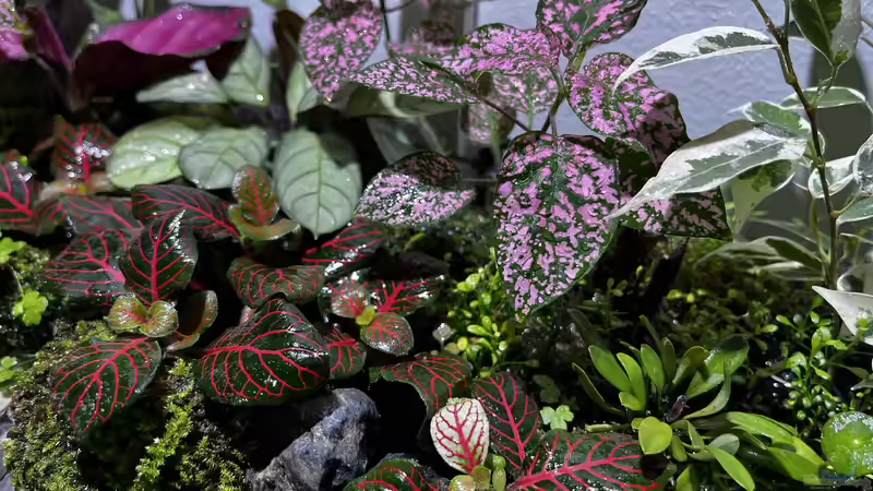 Update am 15.04.23 von CzudemP (29)