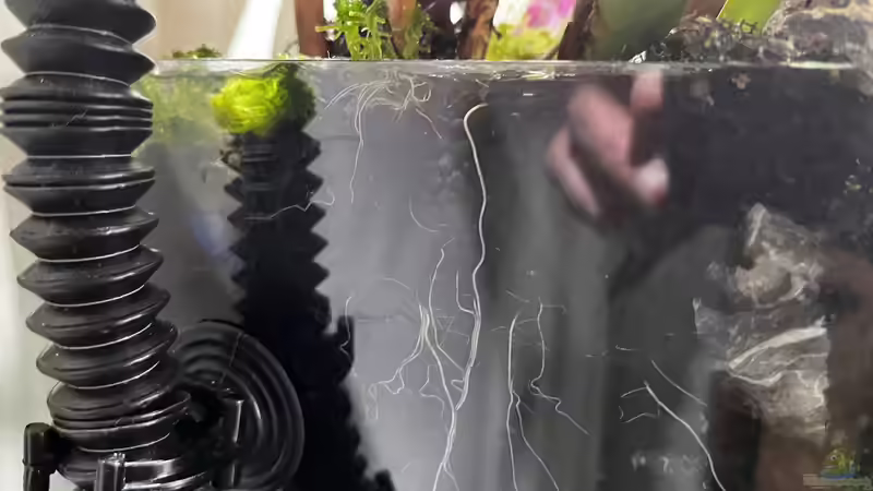 Update am 15.04.23 von CzudemP (31)