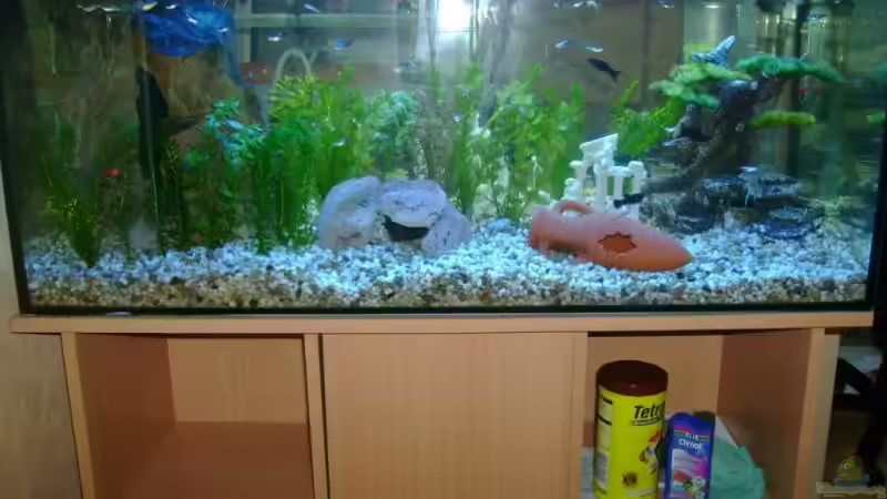 Update Deko 14.07.08 von Robert Bratzik (9)