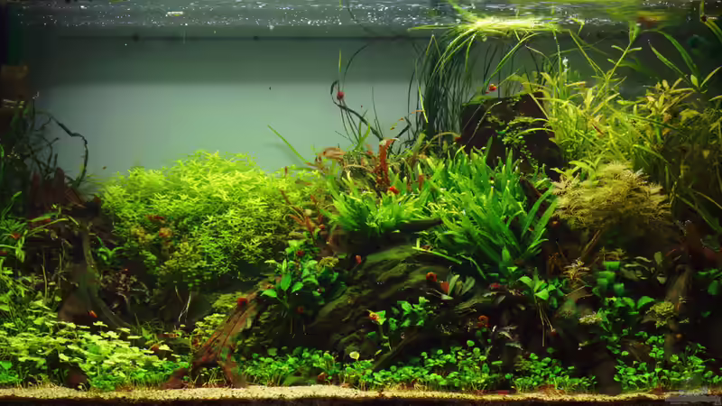 Update Februar 2015 von Micha... (8)