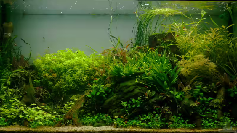 Update Februar 2015 von Micha... (9)