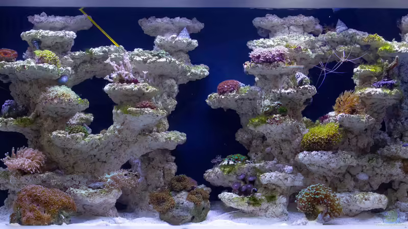 Update Fluval M90 -24.05.2015 von mmbm78 (11)