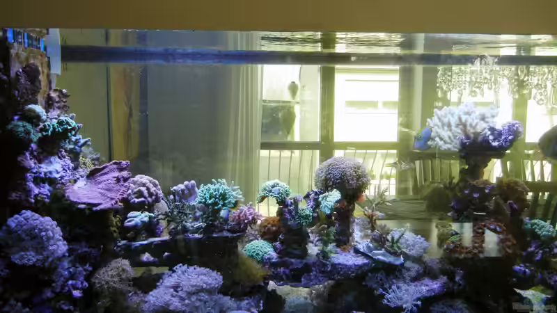 Update März 2012 von JuWa (10)