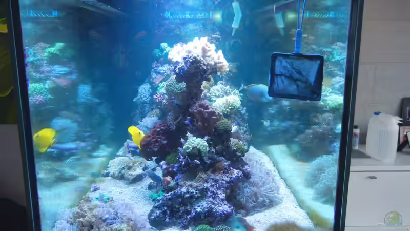 Update März 2012 von JuWa (11)