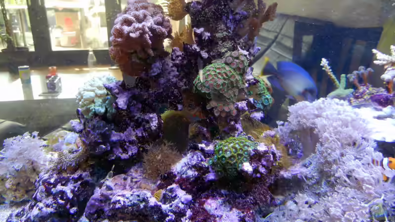 Update März 2012 von JuWa (8)