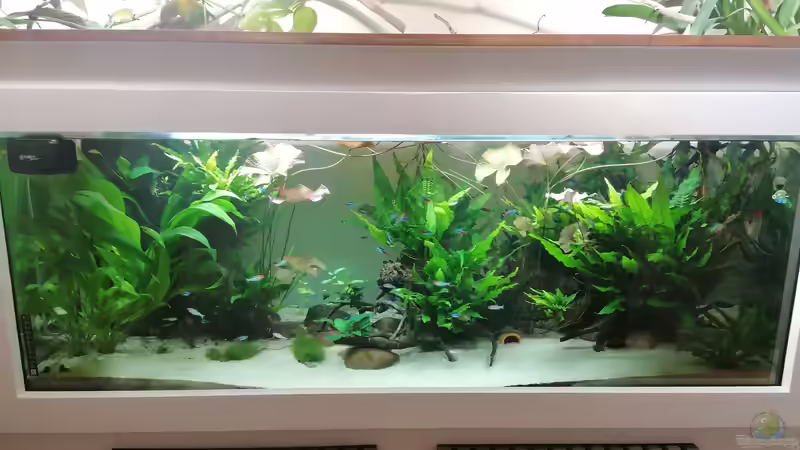 Update nach ca. 9Monaten. von DaLi (2)