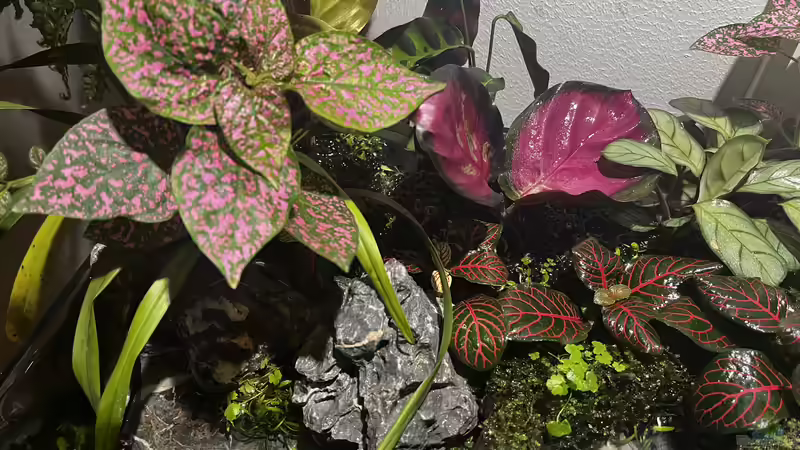 Update nach ca. drei Wochen von CzudemP (17)