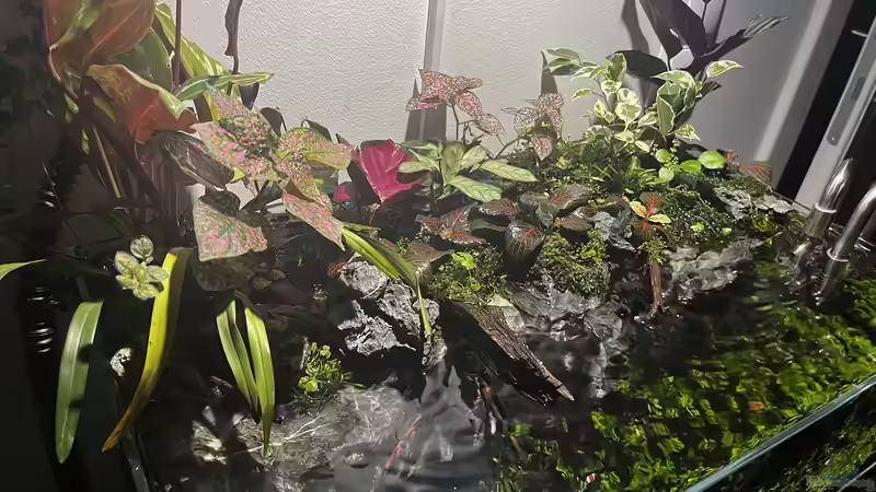 Update nach ca. drei Wochen von CzudemP (20)