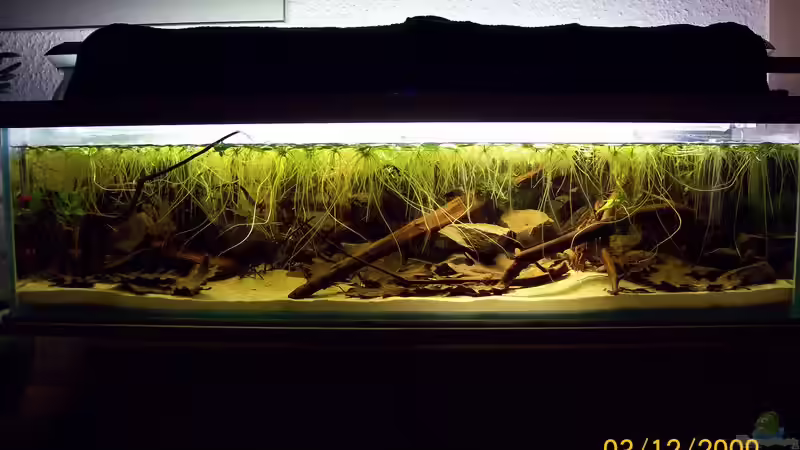 Update nach einer Woche von Heiko Bischof (5)