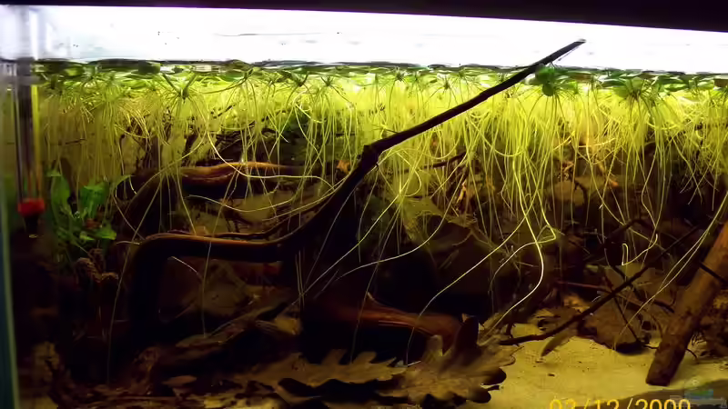 Update nach einer Woche von Heiko Bischof (6)