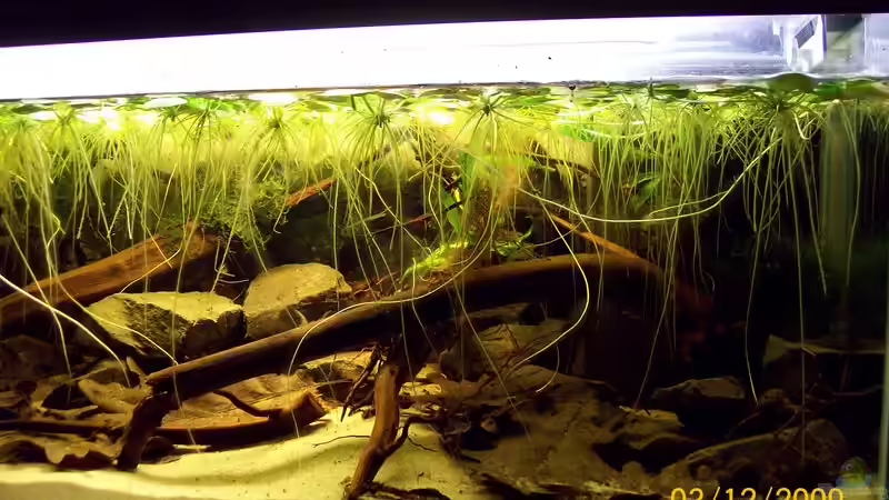 Update nach einer Woche von Heiko Bischof (7)