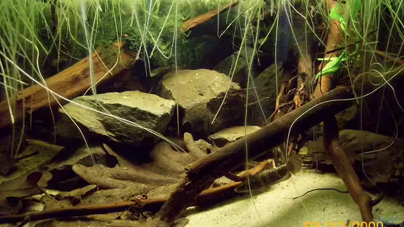 Update nach einer Woche von Heiko Bischof (8)