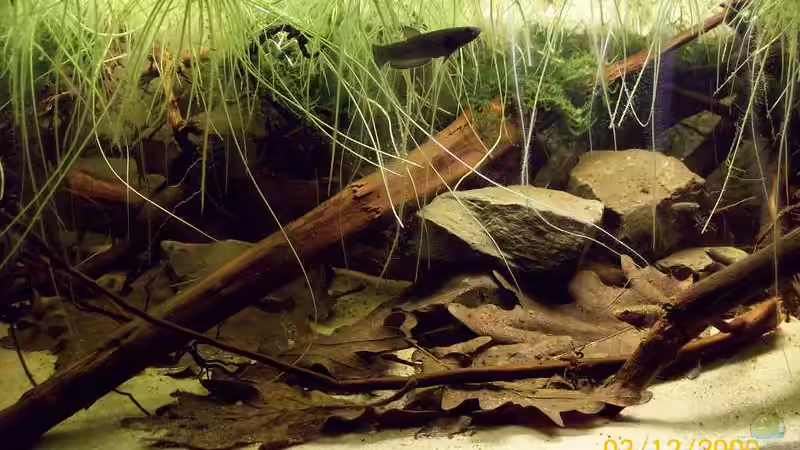 Update nach einer Woche von Heiko Bischof (9)