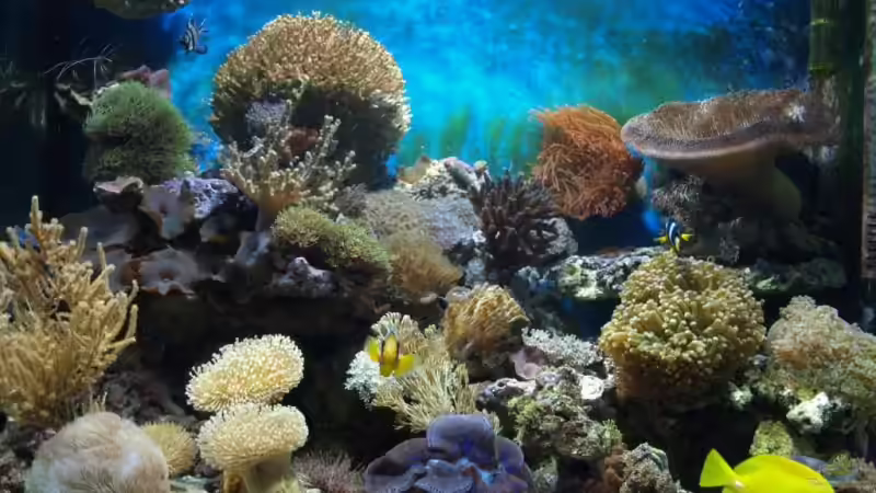 UPDATE November 08 Gesamtansicht  von lex2lex (7)