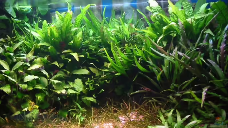 Update vom 22.01.2006 von Toni Habich (3)