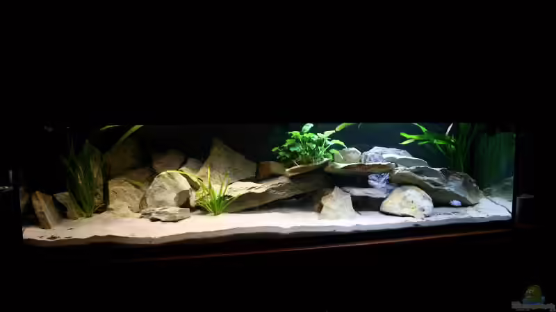 Update von Tobias Seiffert (10)