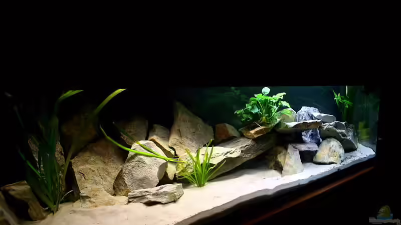 Update von Tobias Seiffert (11)