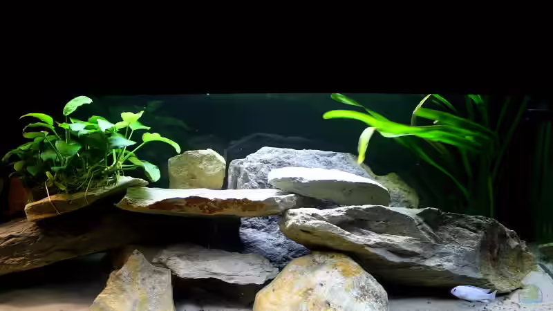 Update von Tobias Seiffert (7)