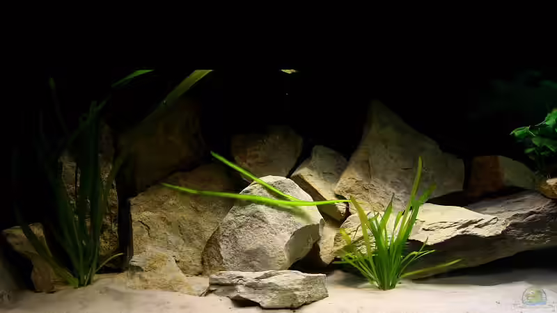 Update von Tobias Seiffert (9)