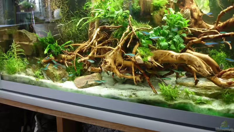 Updates 28.06.2014 - linke Seite von Grünhexe (160)