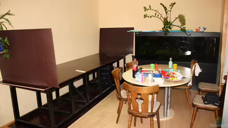 Upps, mein 2 Meter Becken sieht so klein aus. von Fishers Friend (6)