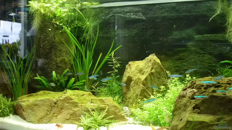 Uptdate am 12.5.2014 von Grünhexe (117)