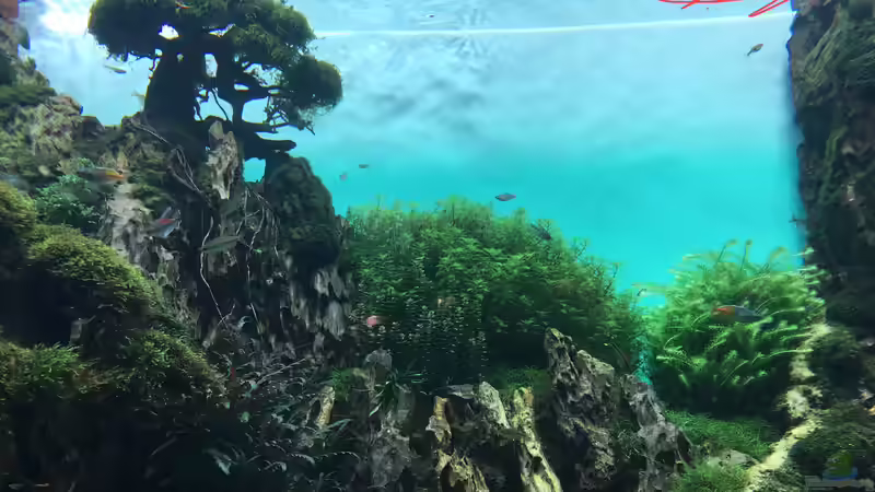 Urlaub auf Teneriffa Teil 2 ??? Das neuen ZEN Aquarium seit 2018 im Loro Parque!