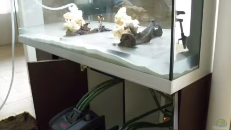 ursprünglich hatte ich 2x Eheim Profi 3 2180 Filter - jetzt habe ich nur 1x und von Jennifer Clee (4)