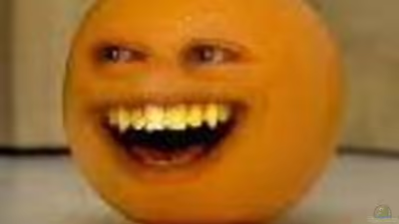 Userbild von +Andre´+ von +Andre´+ (12)