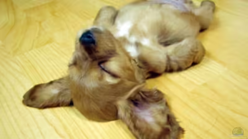 Userbild von -Marcel- von -Marcel- (8)