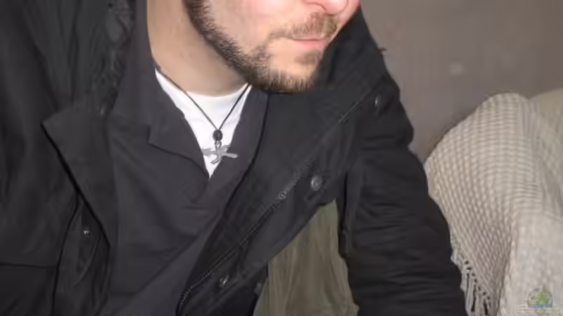 Userbild von -serok- von -serok- (12)