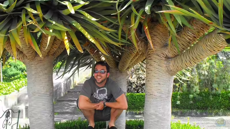 Userbild von -serok- von -serok- (20)