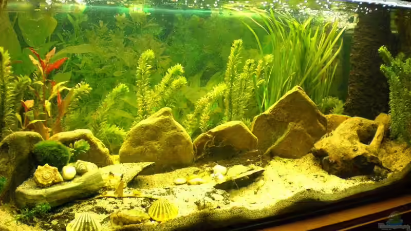 Userbild von 160DaniL von 160DaniL (11)