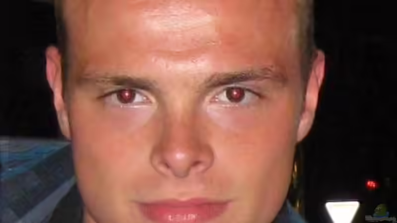 Userbild von AbsolutVanilia von AbsolutVanilia (10)