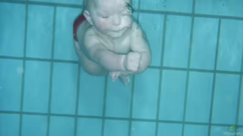 Userbild von ActionJackson von ActionJackson (32)