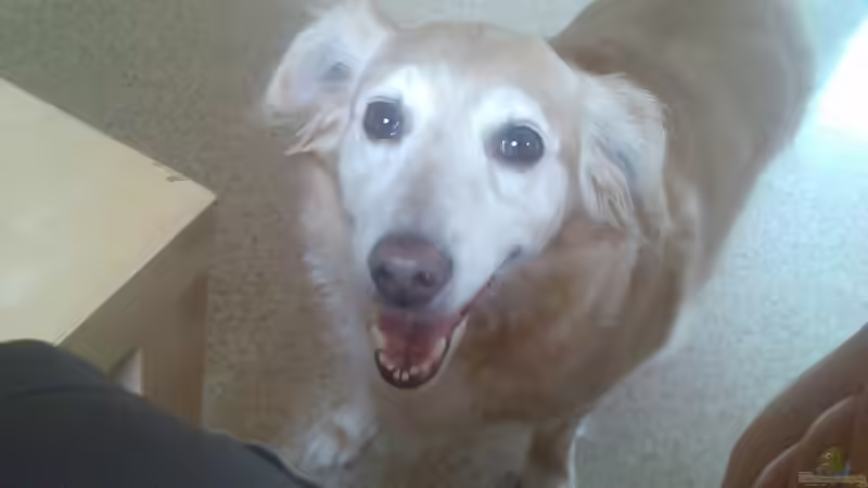 Userbild von Adi von Adi (14)